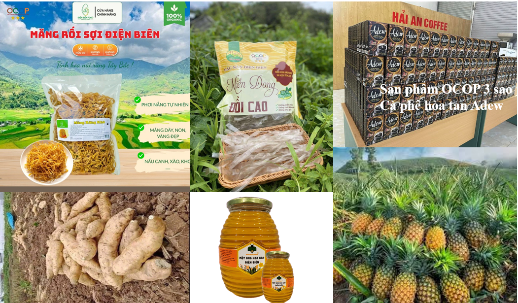 Đẩy mạnh tiêu dùng hàng Việt Nam, thúc đẩy phát triển thị trường trong nước theo Nghị quyết số 88/NQ-CP