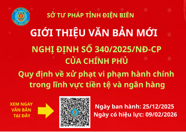 Quy định về xử phạt vi phạm hành chính trong lĩnh vực tiền tệ và ngân hànhg