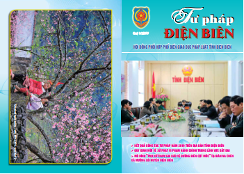 Bản tin tư pháp quý IV/2019